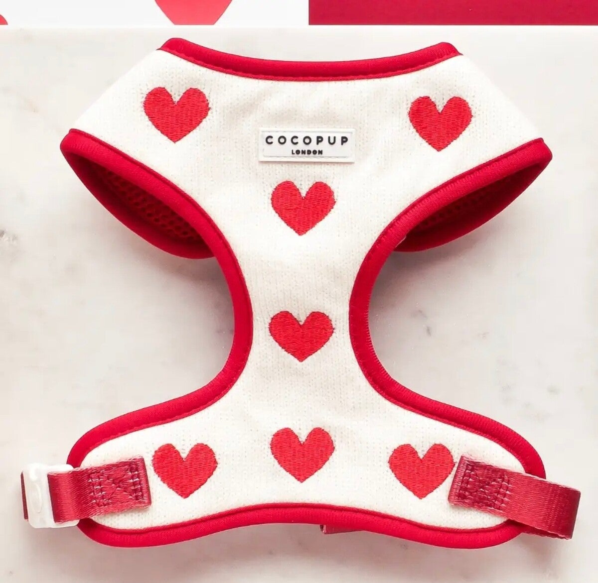 Harnais câlins ❤️❤️