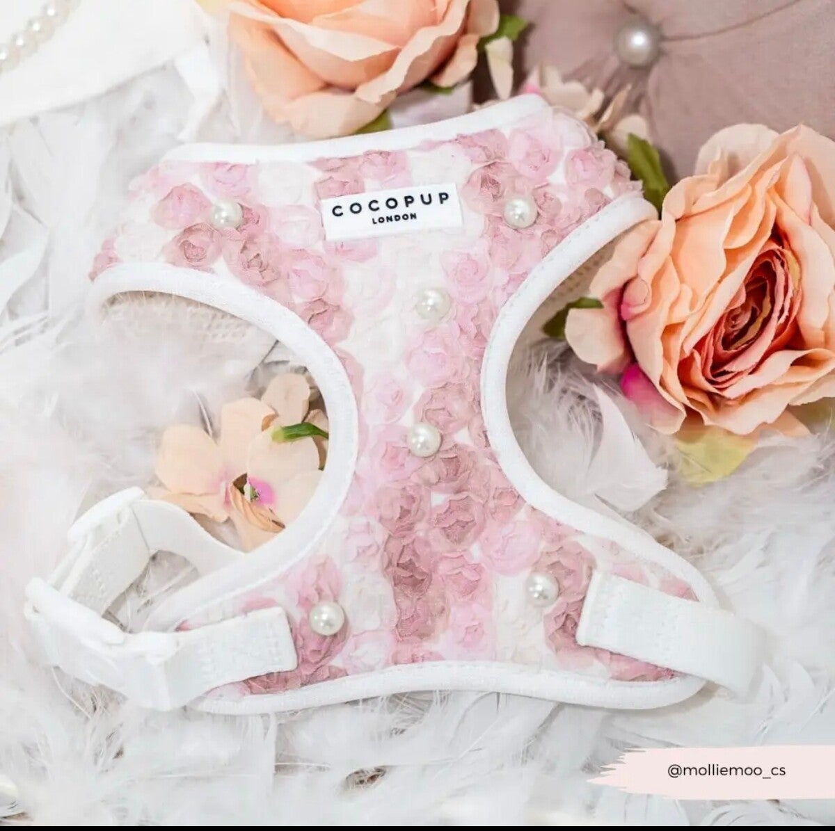 Harnais parly pop 🦪🌸