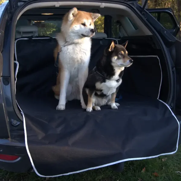 Couverture de coffre chien