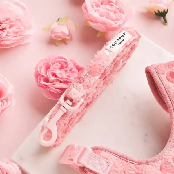 laisse pivoine