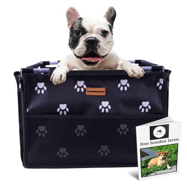 Siege auto chien 40/40