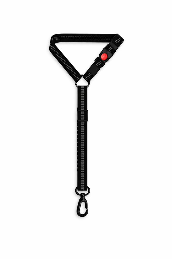 Ceinture de sécurité chien version appuie tête
