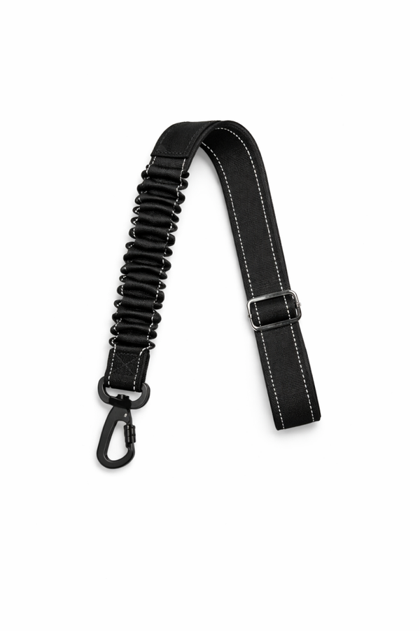 Ceinture de sécurité chien