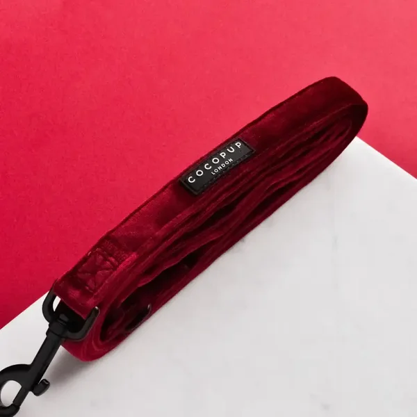 laisse en velours de luxe - Rouge baie