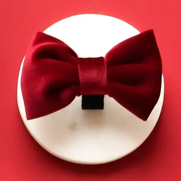 Nœud papillon rouge velours (festif)