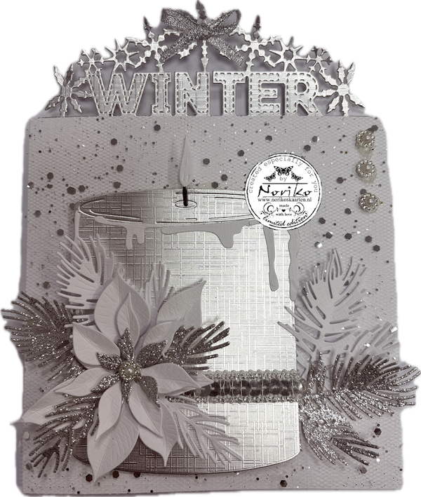 Winter in het Zilver
