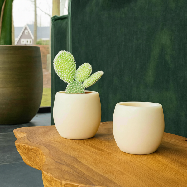 Aroma Bowl Cinnamon – Geurige eenvoud voor elk moment