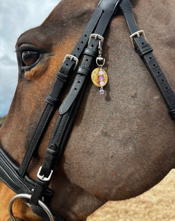HORSE NAME TAG ONLY - Personalised