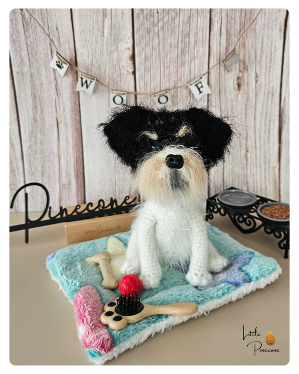 Loki - der Parson Russel Terrier