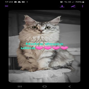 screenshot_20240923_172437_messenger-standard-r2mbfj.jpg