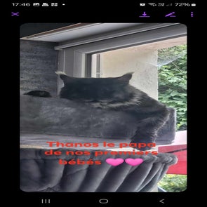 screenshot_20240923_174601_messenger-standard-g9vm1v.jpg