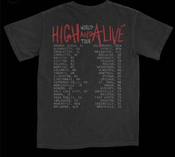 GUITAR PHOTO TOUR TEE