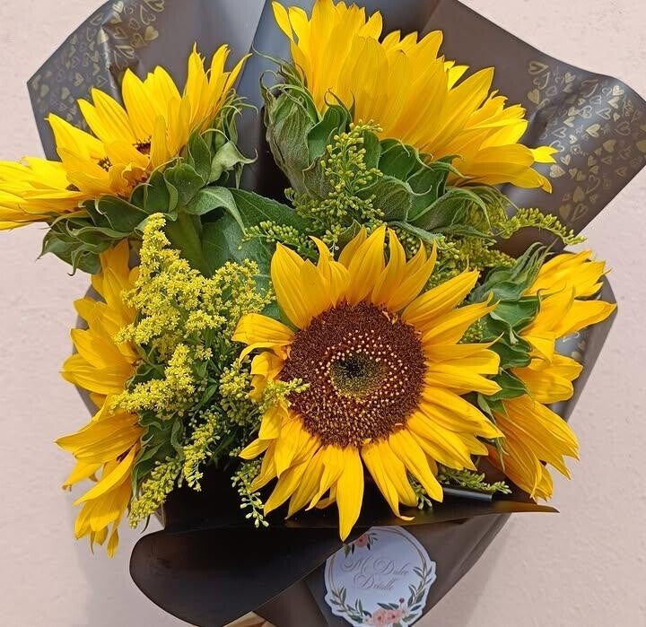 Girasoles