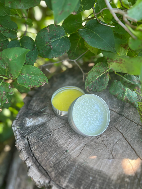 Herbal Salves
