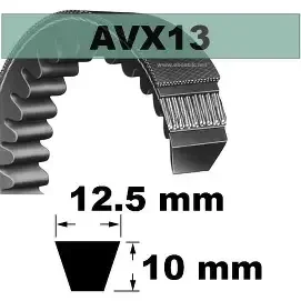 Courroie crantée AVX 13X1350