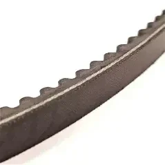 Courroie Wolf 21505 PRO61S