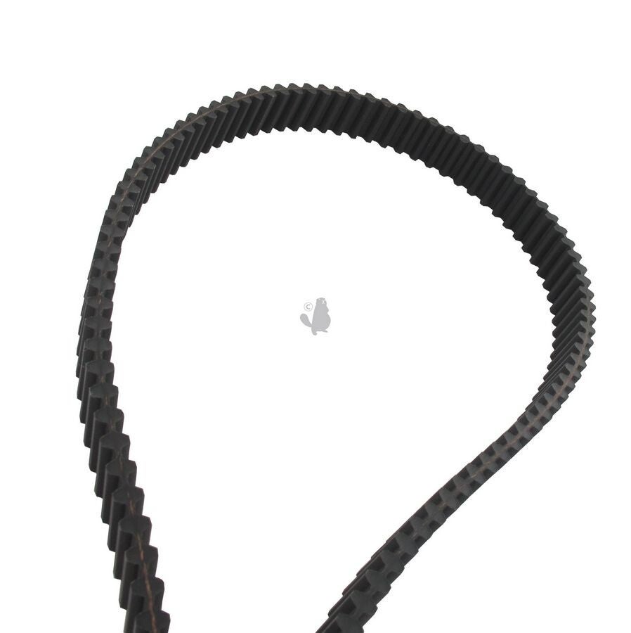 Courroie adaptable WOLF/ETESIA 25111, 31203