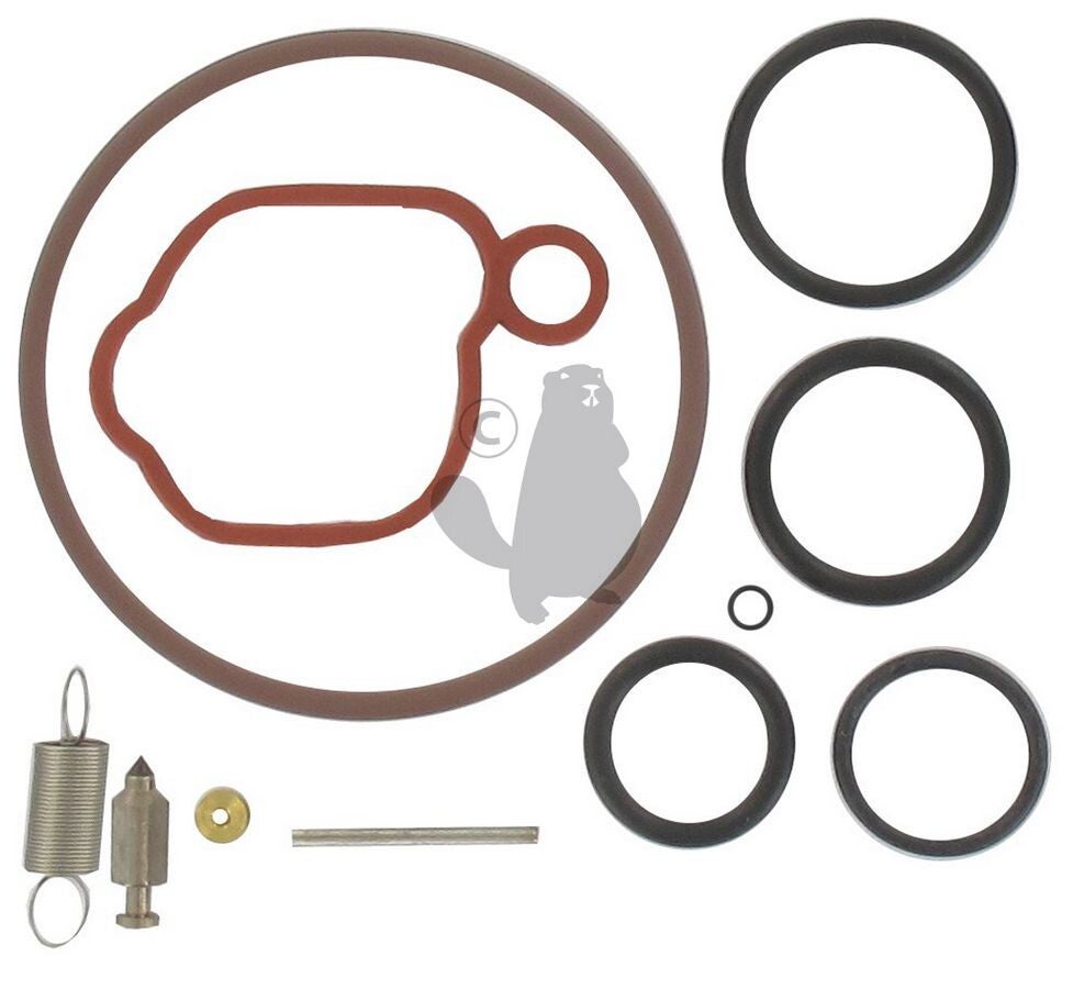 Kit joint carburateur adapt BRIGGS 5905892