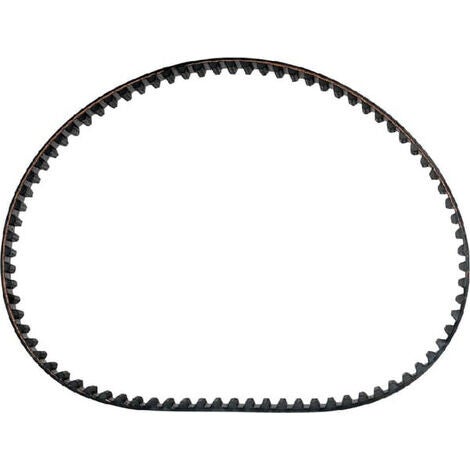 Courroie scarificateur WOLF 6455