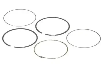 Jeu de segments Briggs 792026