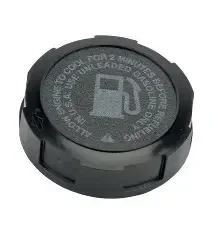 Bouchon essence Briggs 846987