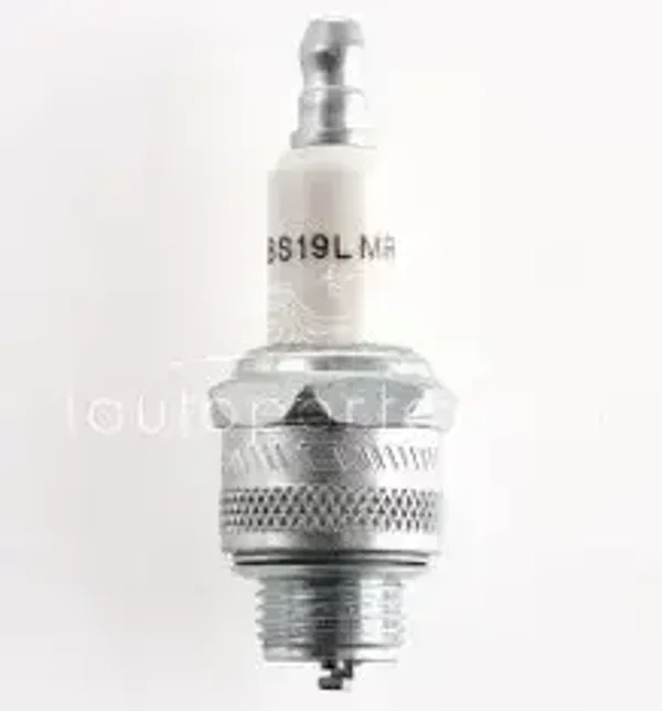 Bougie Briggs & Stratton BS19LM
