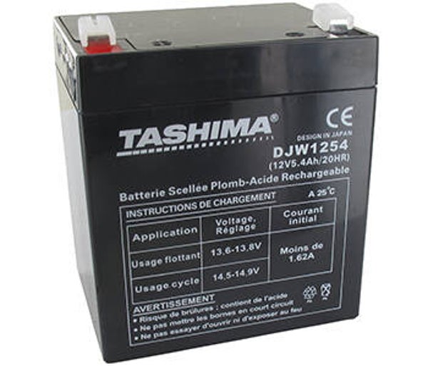 Batterie TASHIMA 12V, 5,4A adaptable CASTELGARDEN, FLYMO et SABO.