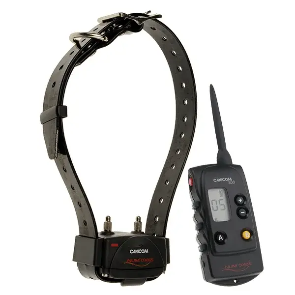 Collier de dressage NUMAXES CANICOM 800