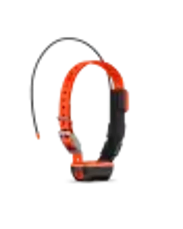 Collier suplémentaire GPS GARMIN T20F