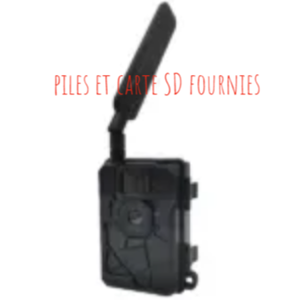 Piège photographique NUM'AXES PIE1152 4G