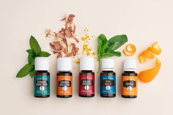 Workshop Essentiële Oliën | Ontdek de kracht van de natuur