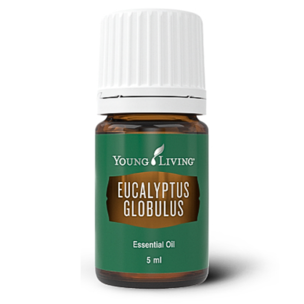 Eucalyptus Globulus Essentiële Olie 5 ml Young Living
