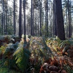 20201010_102704.jpg