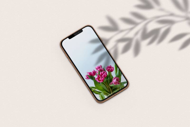 het contentpakket voor stockfoto's en unieke professionele content