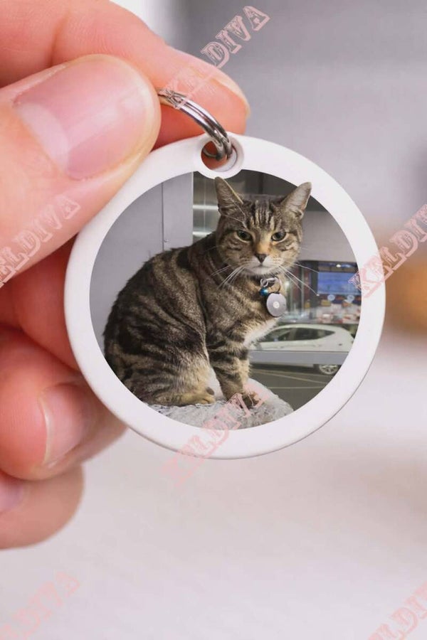 Freddie trolley token
