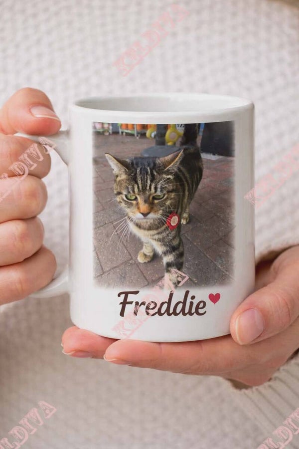 Freddie mug