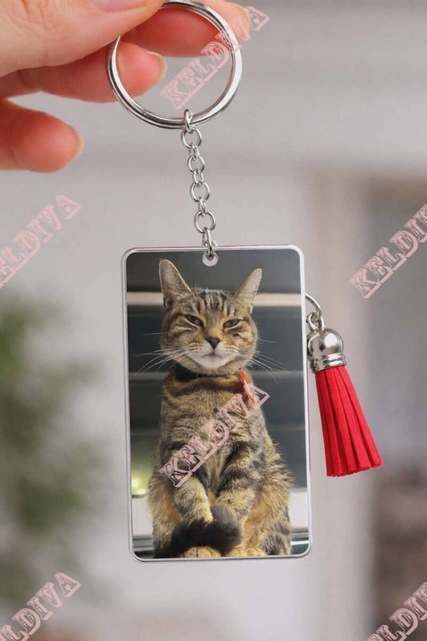 Freddie keyring