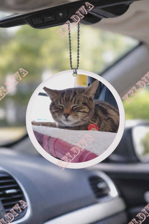 Freddie car hanger