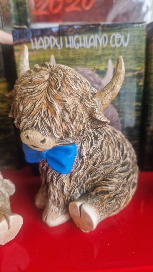 Highland cow