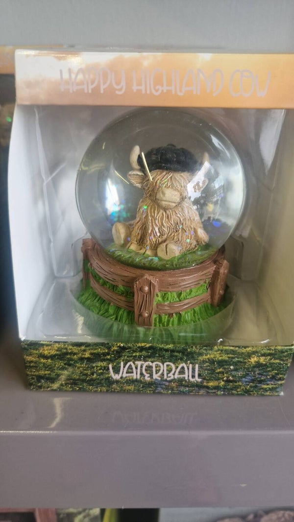 Cow in a snow globe