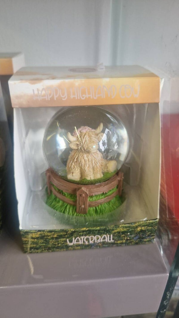 Cow in a snowglobe