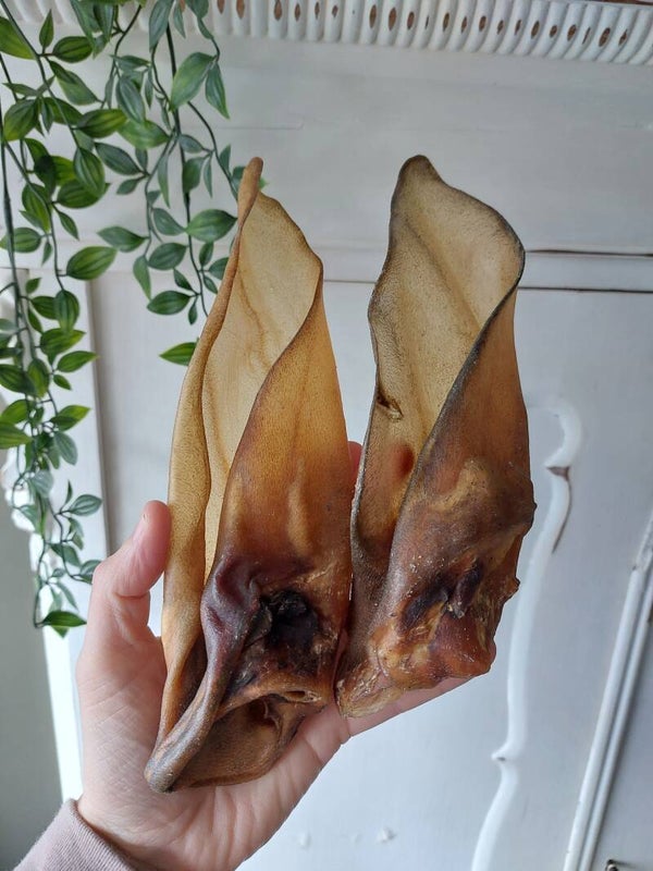 Hertenoren zonder vacht per stuk