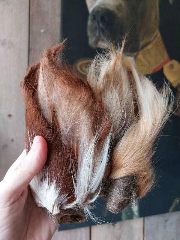 Paardenoren met haar per 100gram