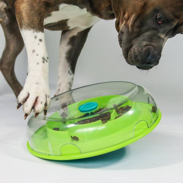 Nina Ottosson Wobble Bowl