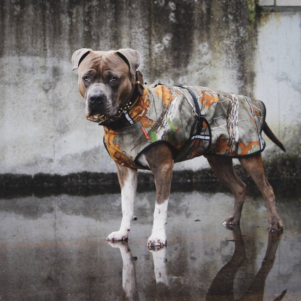 Superfur Softshell regenjas