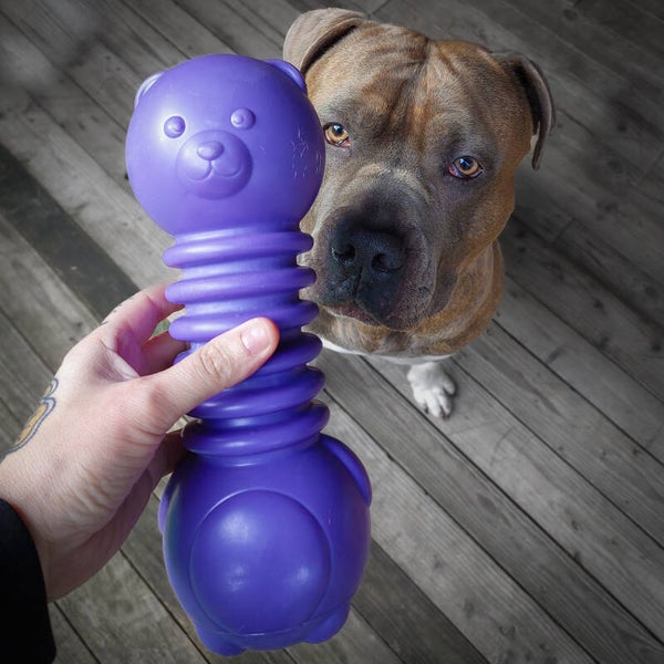 ZippyTuff + Jigglerz Bear