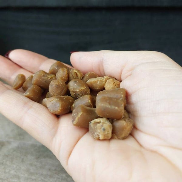 Struisvogel - gevogelte trainers zacht