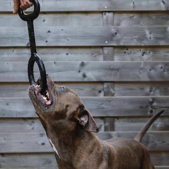 PlayDog PULL – puller