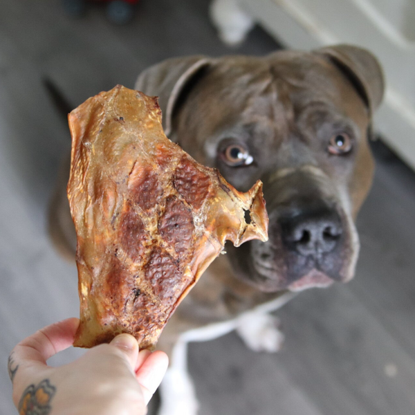 Struisvogelmaag 100gram