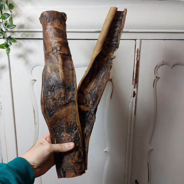 Boneguard - Kamelenhuid 2x 40cm